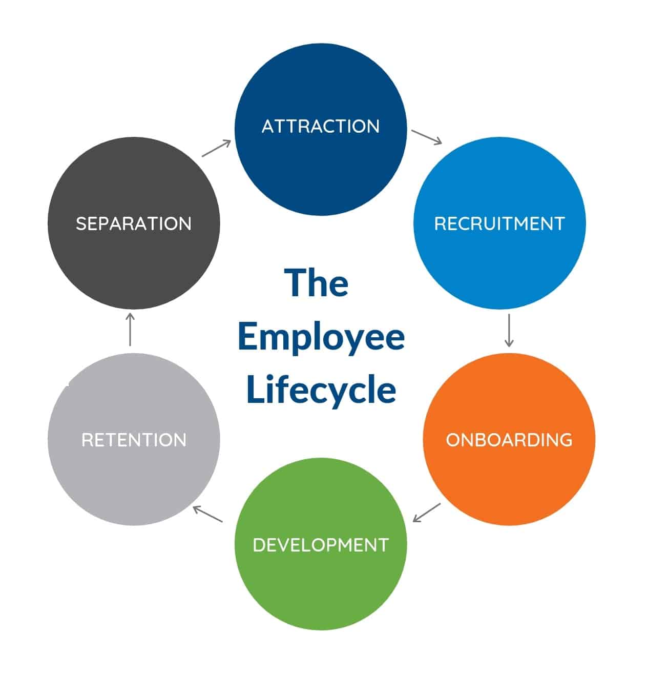 The employee lifecycle